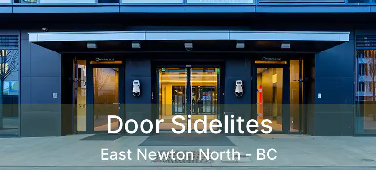  Door Sidelites East Newton North - BC