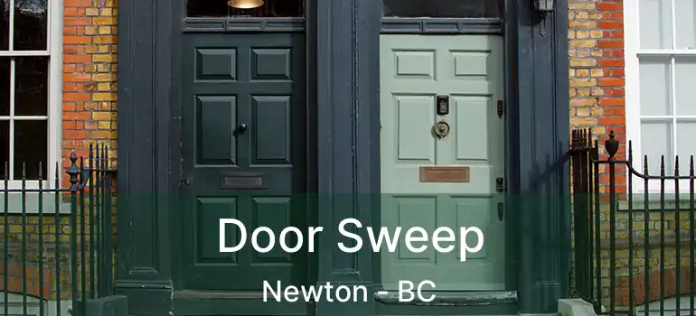  Door Sweep Newton - BC