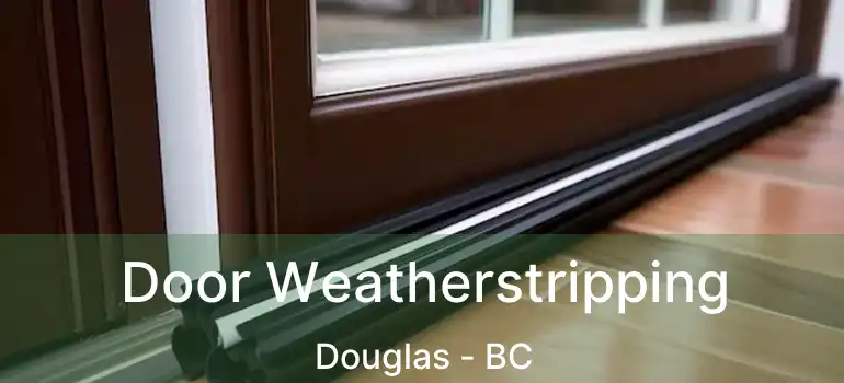  Door Weatherstripping Douglas - BC