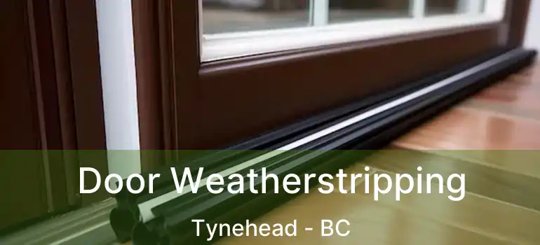  Door Weatherstripping Tynehead - BC