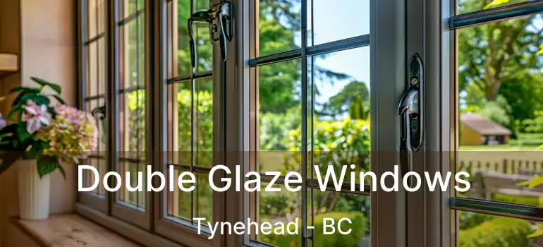  Double Glaze Windows Tynehead - BC