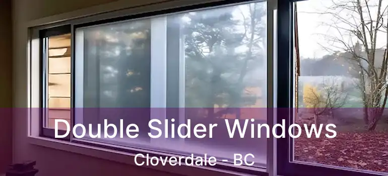  Double Slider Windows Cloverdale - BC