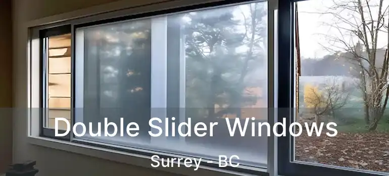  Double Slider Windows Surrey - BC
