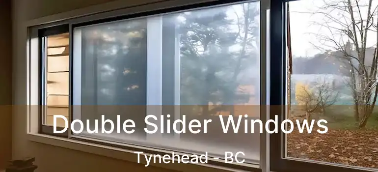  Double Slider Windows Tynehead - BC