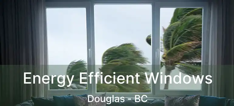  Energy Efficient Windows Douglas - BC