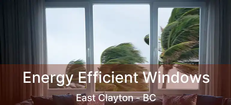  Energy Efficient Windows East Clayton - BC