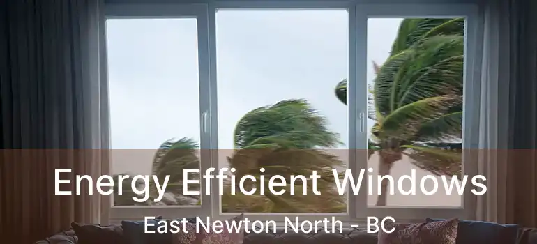  Energy Efficient Windows East Newton North - BC