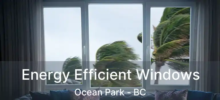  Energy Efficient Windows Ocean Park - BC