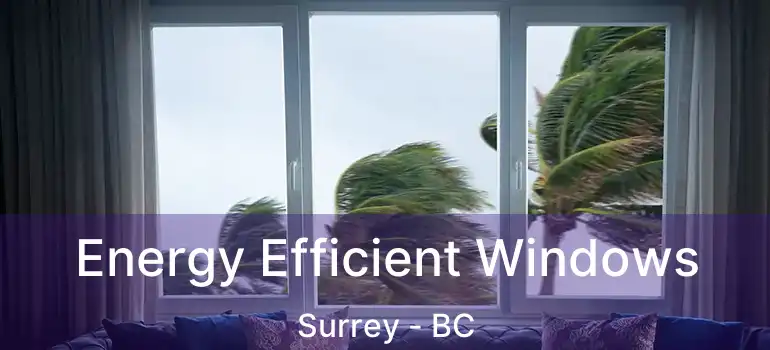  Energy Efficient Windows Surrey - BC