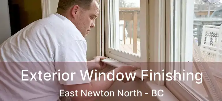  Exterior Window Finishing East Newton North - BC