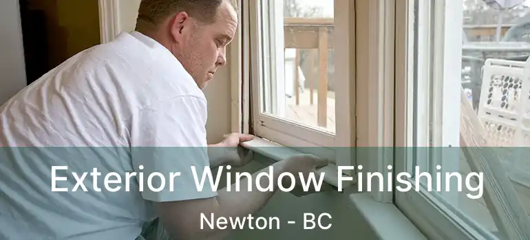  Exterior Window Finishing Newton - BC
