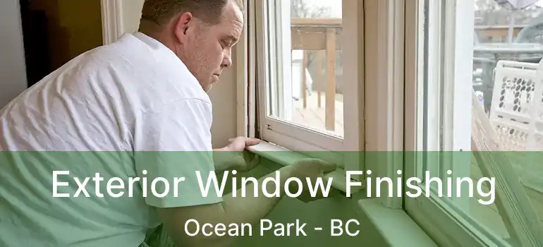  Exterior Window Finishing Ocean Park - BC
