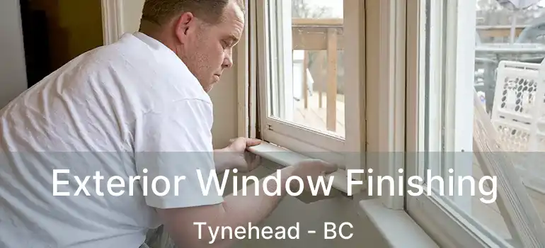  Exterior Window Finishing Tynehead - BC