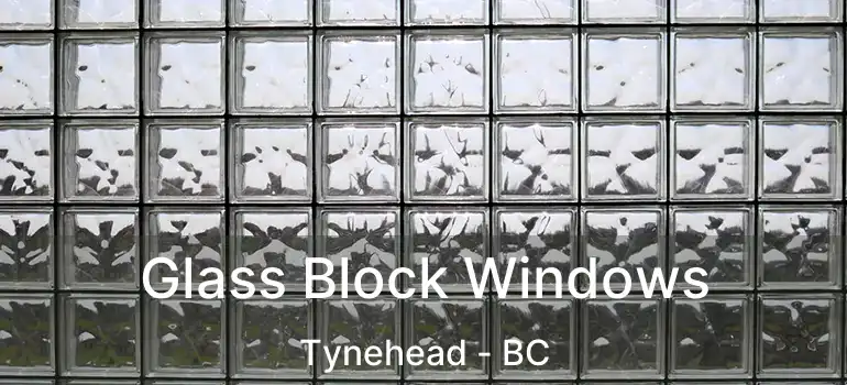  Glass Block Windows Tynehead - BC