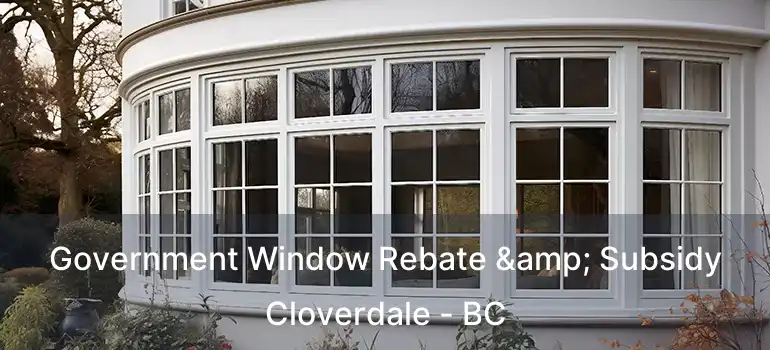  Government Window Rebate & Subsidy Cloverdale - BC