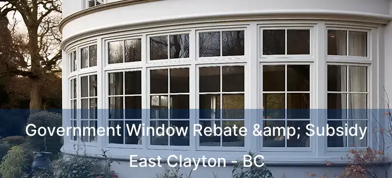  Government Window Rebate & Subsidy East Clayton - BC