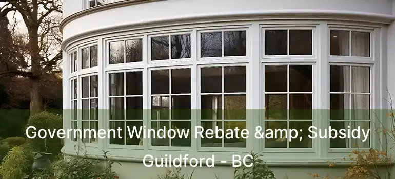  Government Window Rebate & Subsidy Guildford - BC