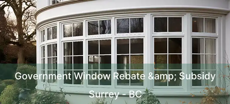  Government Window Rebate & Subsidy Surrey - BC