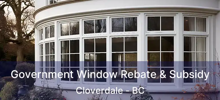  Government Window Rebate & Subsidy Cloverdale - BC