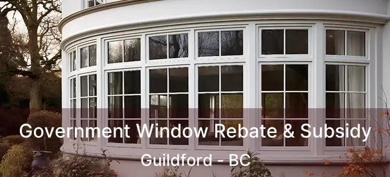  Government Window Rebate & Subsidy Guildford - BC