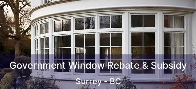  Government Window Rebate & Subsidy Surrey - BC