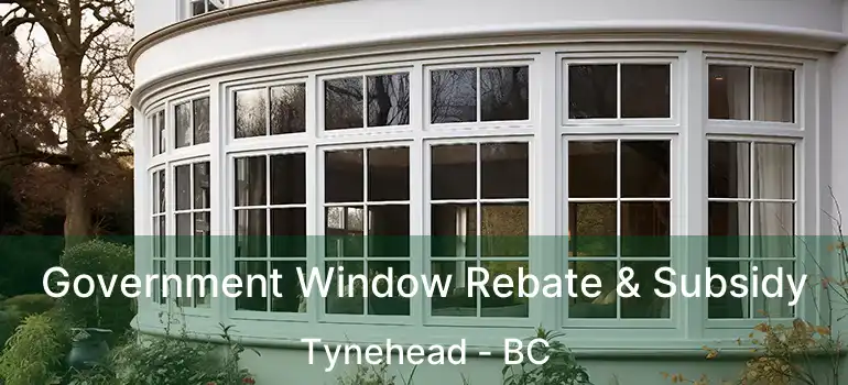  Government Window Rebate & Subsidy Tynehead - BC
