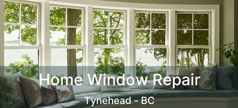  Home Window Repair Tynehead - BC