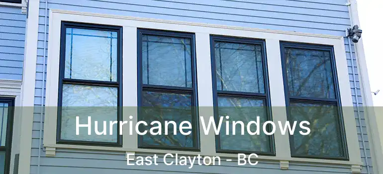  Hurricane Windows East Clayton - BC