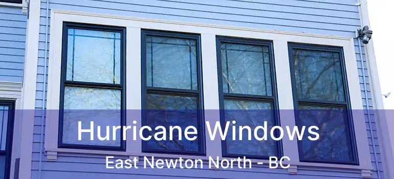  Hurricane Windows East Newton North - BC