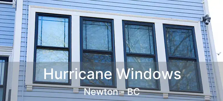  Hurricane Windows Newton - BC