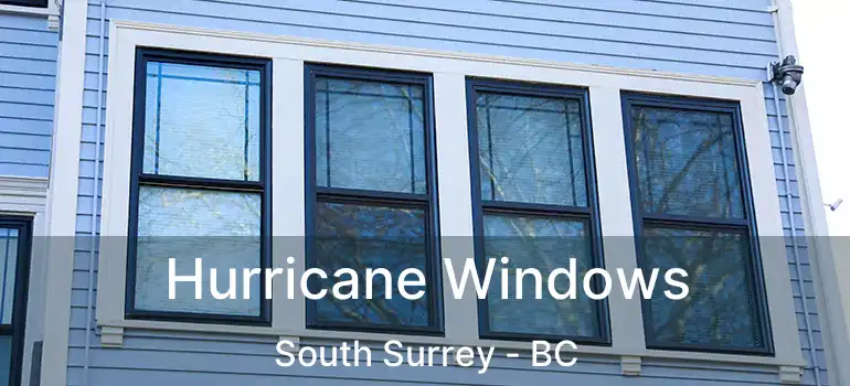  Hurricane Windows South Surrey - BC