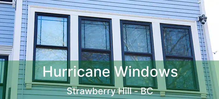  Hurricane Windows Strawberry Hill - BC