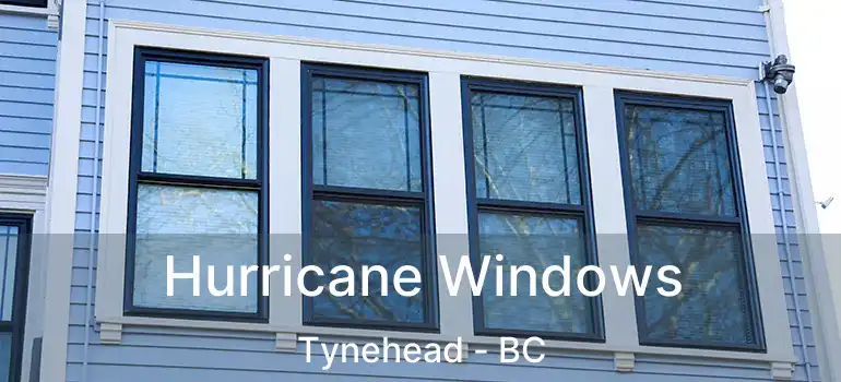  Hurricane Windows Tynehead - BC