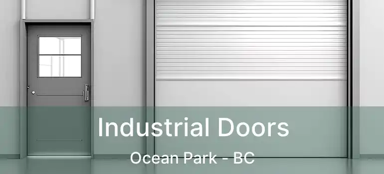  Industrial Doors Ocean Park - BC