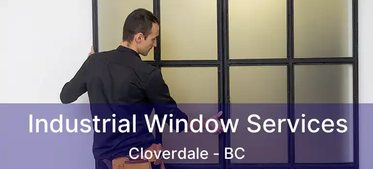  Industrial Window Services Cloverdale - BC