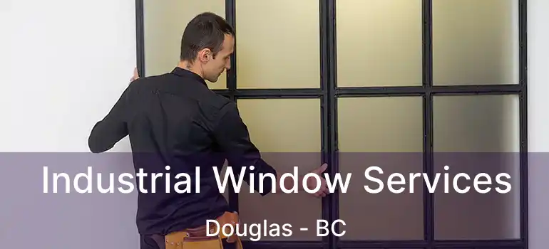  Industrial Window Services Douglas - BC