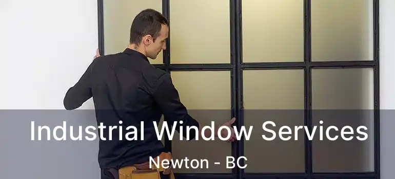  Industrial Window Services Newton - BC