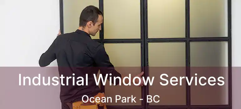  Industrial Window Services Ocean Park - BC