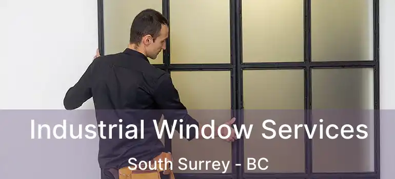  Industrial Window Services South Surrey - BC