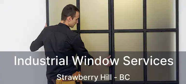  Industrial Window Services Strawberry Hill - BC