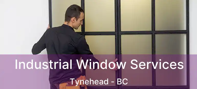  Industrial Window Services Tynehead - BC