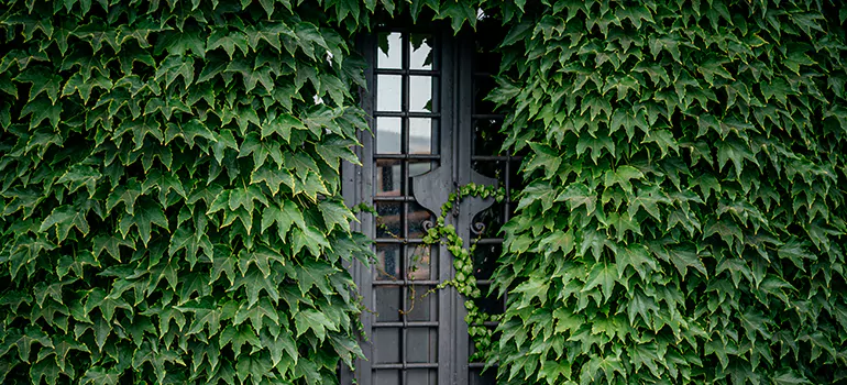Garden Gate Repair in Surrey, BC