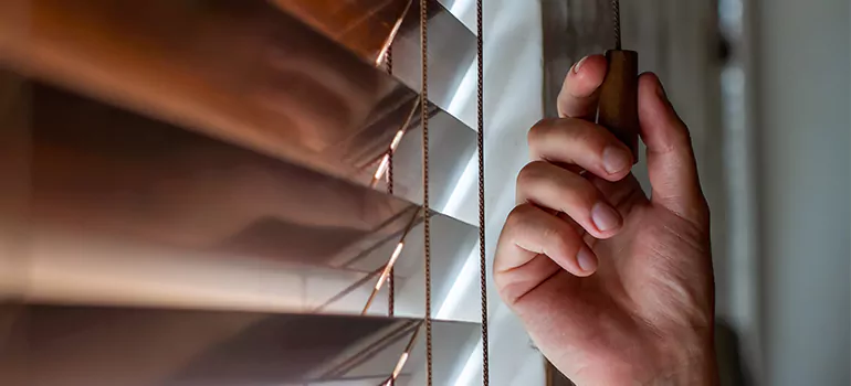 Double Roller Blinds in Surrey, British Columbia