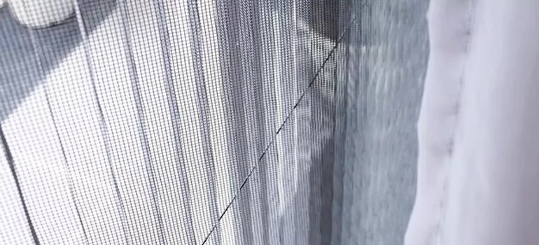 Fixing Screen Window Mesh in Surrey, British Columbia