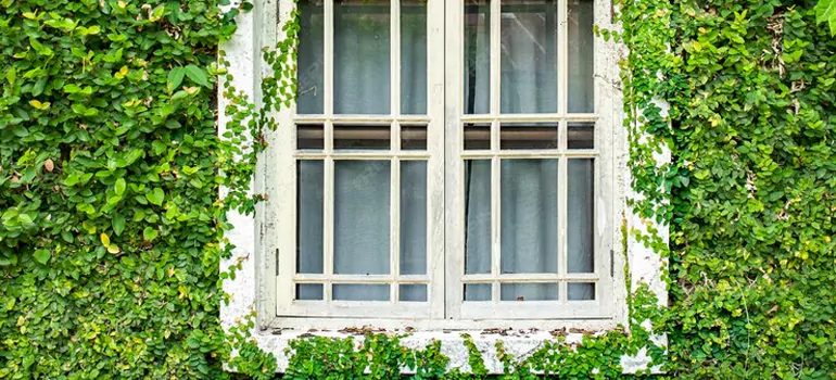 arden Window Repair Near Me in Surrey, BC