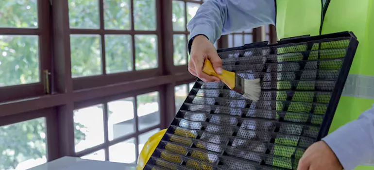 Traditional Window Grille Installation Options in Surrey, BC