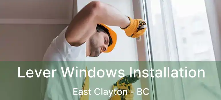  Lever Windows Installation East Clayton - BC
