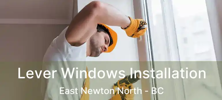  Lever Windows Installation East Newton North - BC