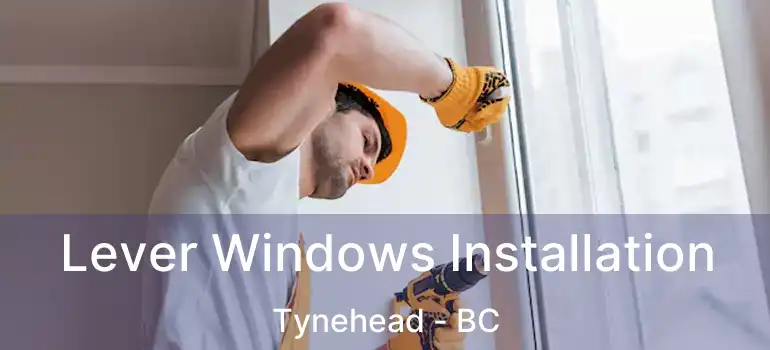  Lever Windows Installation Tynehead - BC