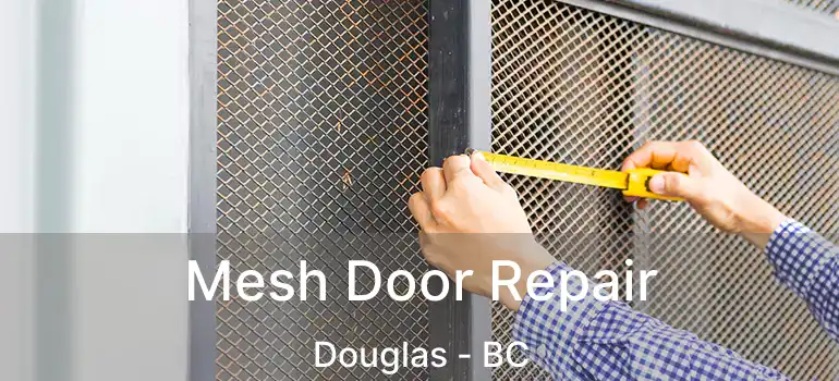  Mesh Door Repair Douglas - BC